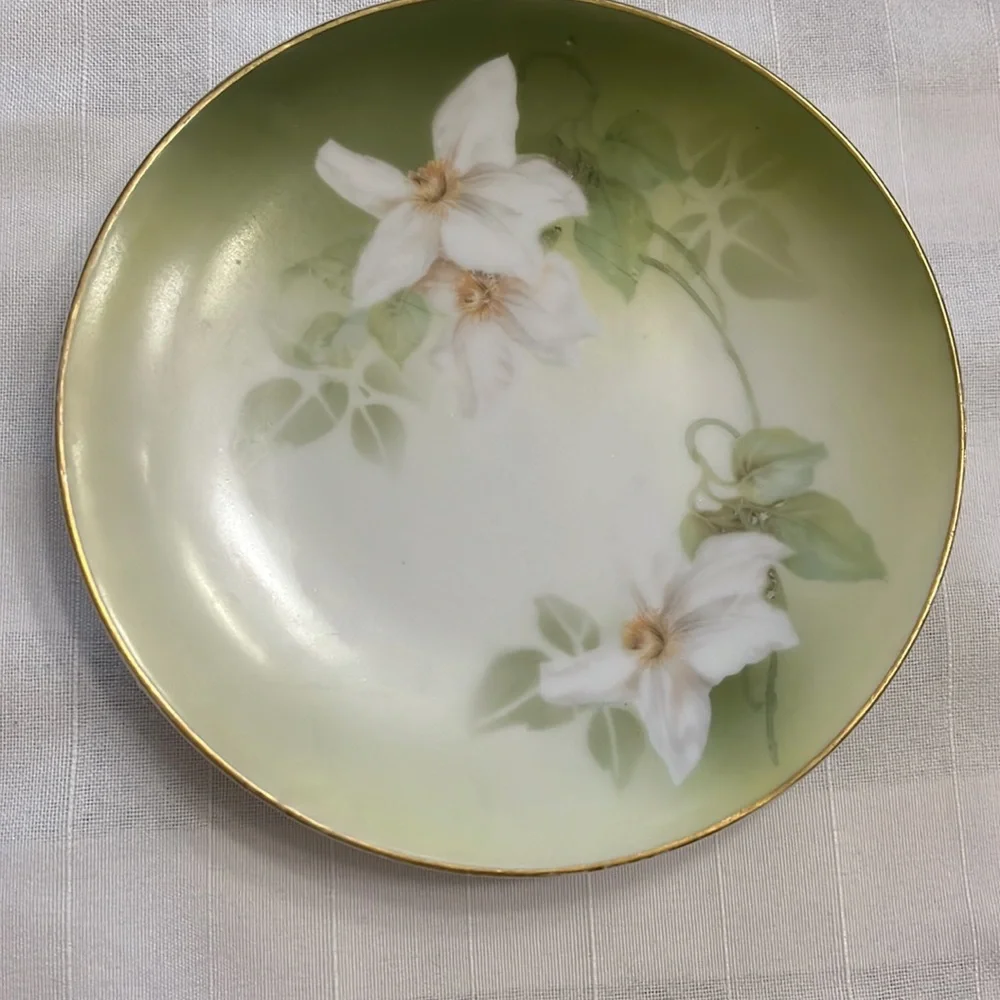Antique delicate white floral design on porcelain plates RS Tillowitz Germany